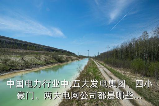中國(guó)電力行業(yè)中,五大發(fā)電集團(tuán)、四小豪門(mén)、兩大電網(wǎng)公司都是哪些...