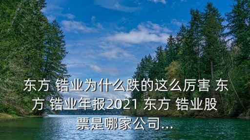  東方 鋯業(yè)為什么跌的這么厲害 東方 鋯業(yè)年報(bào)2021 東方 鋯業(yè)股票是哪家公司...