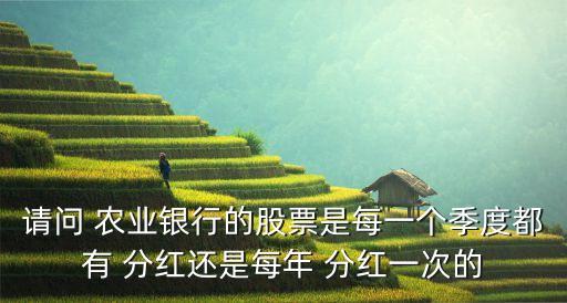 請問 農(nóng)業(yè)銀行的股票是每一個(gè)季度都有 分紅還是每年 分紅一次的