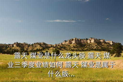  露天 煤業(yè)是什么龍頭股 露天 煤業(yè)三季度業(yè)績如何 露天 煤業(yè)是屬于什么版...