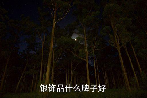 銀飾品什么牌子好