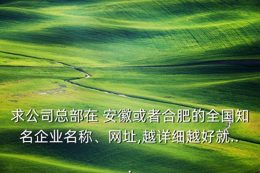 求公司總部在 安徽或者合肥的全國知名企業(yè)名稱、網(wǎng)址,越詳細(xì)越好就...