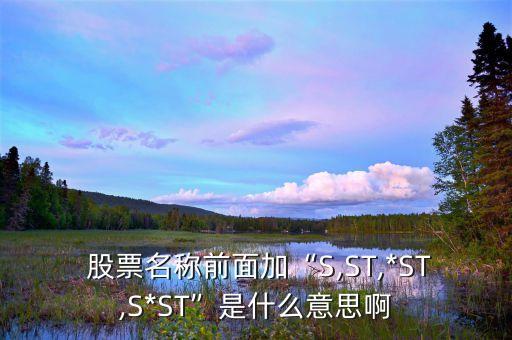  股票名稱前面加“S,ST,*ST,S*ST”是什么意思啊