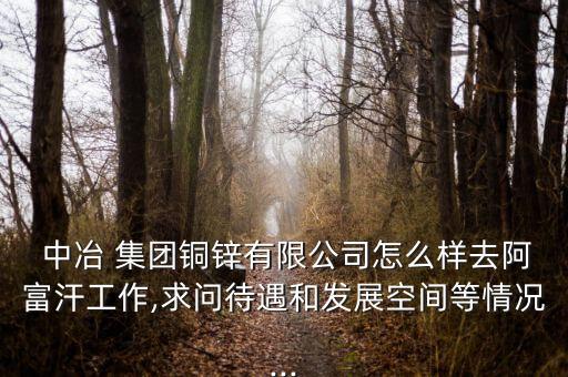  中冶 集團(tuán)銅鋅有限公司怎么樣去阿富汗工作,求問(wèn)待遇和發(fā)展空間等情況...