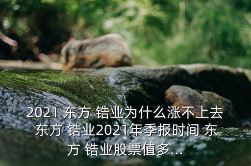 2021 東方 鋯業(yè)為什么漲不上去 東方 鋯業(yè)2021年季報(bào)時(shí)間 東方 鋯業(yè)股票值多...