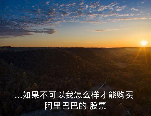 ...如果不可以我怎么樣才能購(gòu)買 阿里巴巴的 股票
