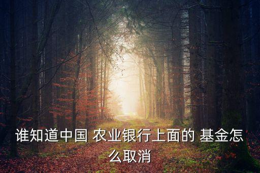 誰(shuí)知道中國(guó) 農(nóng)業(yè)銀行上面的 基金怎么取消