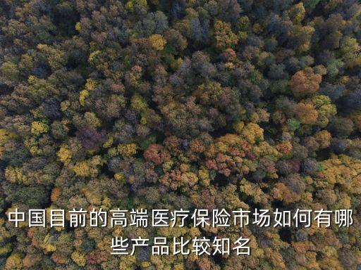 中國目前的高端醫(yī)療保險(xiǎn)市場(chǎng)如何有哪些產(chǎn)品比較知名