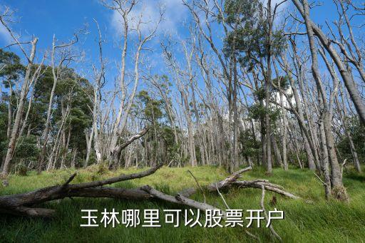 玉林哪里可以股票開(kāi)戶