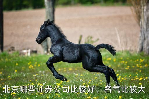 北京哪些證券公司比較好、名氣比較大