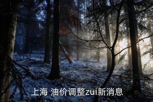  上海 油價調整zui新消息
