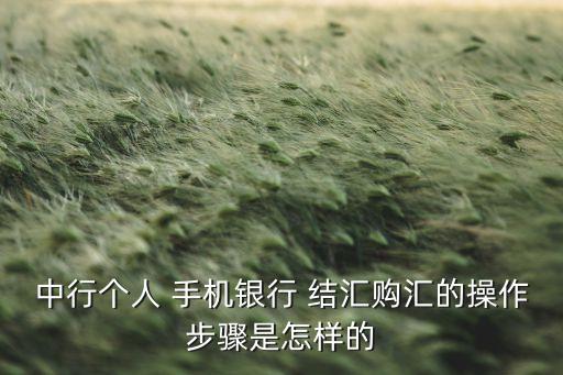 中行個(gè)人 手機(jī)銀行 結(jié)匯購匯的操作步驟是怎樣的