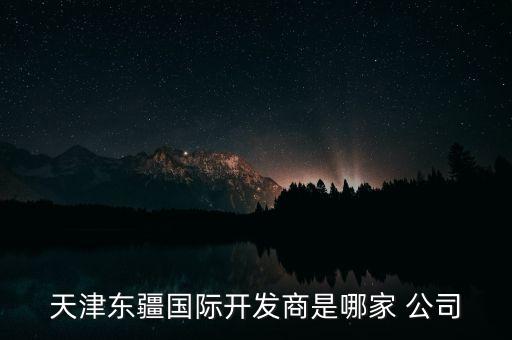 天津東疆國(guó)際開發(fā)商是哪家 公司