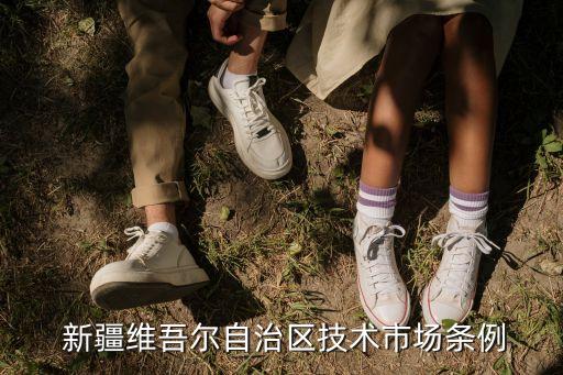  新疆維吾爾自治區(qū)技術(shù)市場(chǎng)條例