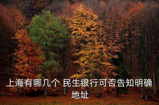 上海有哪幾個(gè) 民生銀行可否告知明確 地址