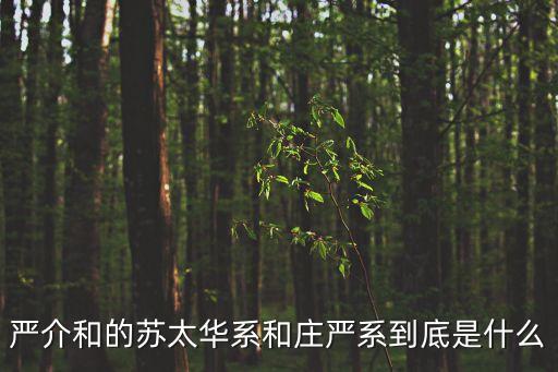 嚴介和的蘇太華系和莊嚴系到底是什么