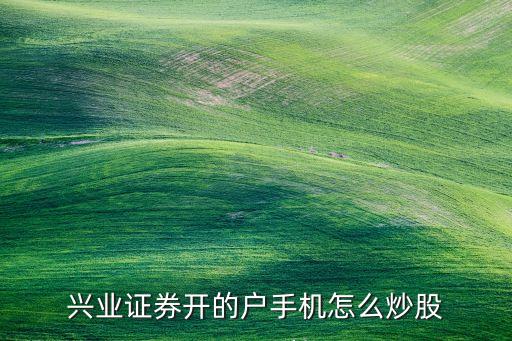 興業(yè)證券開的戶手機怎么炒股