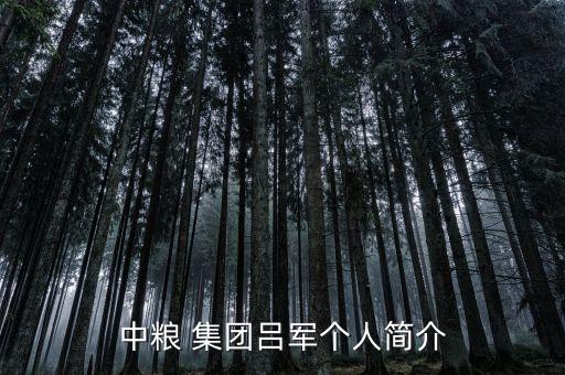 中糧 集團(tuán)呂軍個(gè)人簡(jiǎn)介
