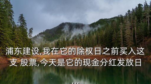 浦東建設,我在它的除權日之前買入這支 股票,今天是它的現(xiàn)金分紅發(fā)放日...