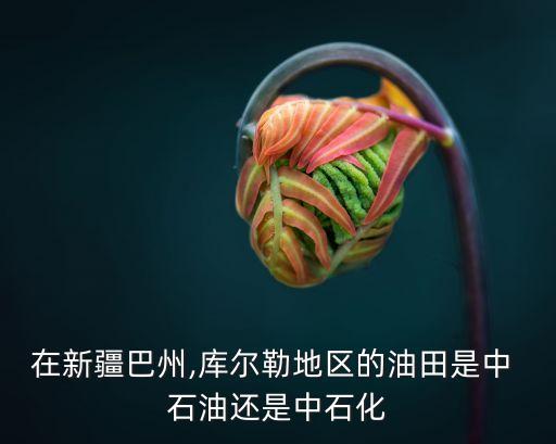 在新疆巴州,庫(kù)爾勒地區(qū)的油田是中 石油還是中石化