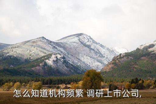 投資者調(diào)研記錄表,在哪里找某個公司的投資者記錄表