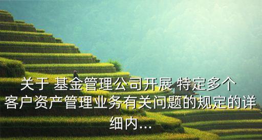 關(guān)于 基金管理公司開展 特定多個 客戶資產(chǎn)管理業(yè)務(wù)有關(guān)問題的規(guī)定的詳細內(nèi)...