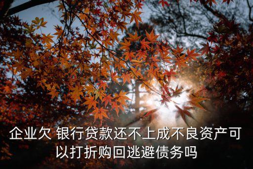 企業(yè)欠 銀行貸款還不上成不良資產(chǎn)可以打折購回逃避債務嗎