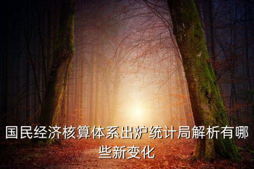 國民經(jīng)濟(jì)核算體系出爐統(tǒng)計局解析有哪些新變化