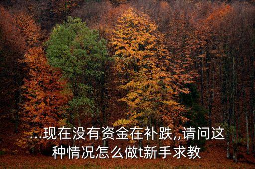 ...現(xiàn)在沒有資金在補(bǔ)跌,,請問這種情況怎么做t新手求教