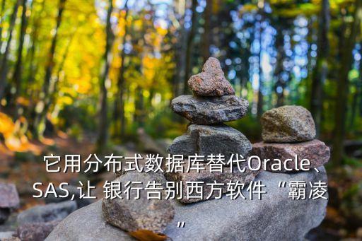 它用分布式數(shù)據(jù)庫替代Oracle、SAS,讓 銀行告別西方軟件“霸凌”