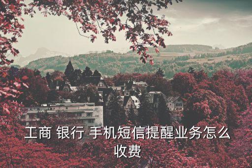  工商 銀行 手機短信提醒業(yè)務(wù)怎么 收費