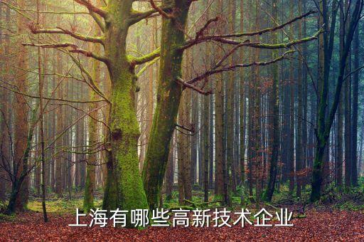 上海戈冉泊精模科技股份有限公司,戈冉泊精?？萍脊煞萦邢薰?曹毅