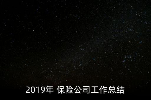 2019年 保險(xiǎn)公司工作總結(jié)