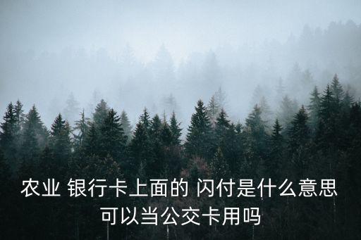 農(nóng)業(yè) 銀行卡上面的 閃付是什么意思可以當公交卡用嗎
