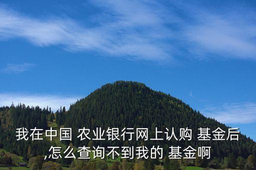 我在中國(guó) 農(nóng)業(yè)銀行網(wǎng)上認(rèn)購(gòu) 基金后,怎么查詢(xún)不到我的 基金啊