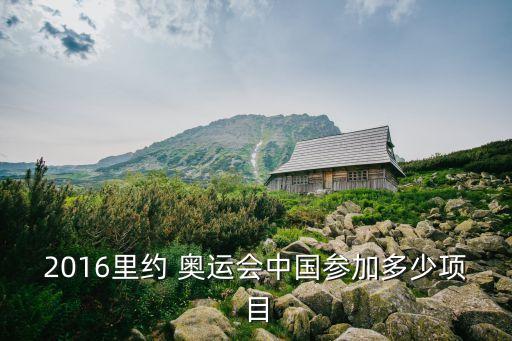 2016里約 奧運會中國參加多少項目