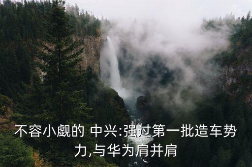 中興子公司結(jié)構,中興在南京的子公司