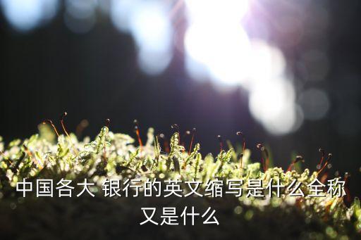中國(guó)各大 銀行的英文縮寫是什么全稱又是什么