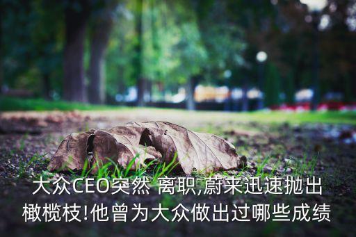 上海大眾離職,大眾集團CEO將離職