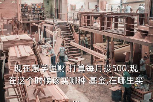 現(xiàn)在想學理財,打算每月投500,現(xiàn)在這個時候該買哪種 基金,在哪里買...