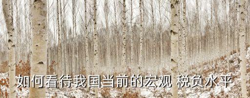 如何看待我國當(dāng)前的宏觀 稅負(fù)水平