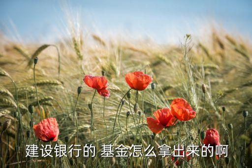 建設銀行個人網上銀行基金贖回,下載建設銀行個人網上銀行