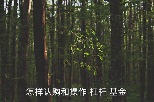 分級杠桿基金代碼,分級基金的杠桿不能高于6:4