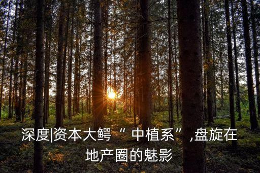 深度|資本大鱷“ 中植系”,盤(pán)旋在地產(chǎn)圈的魅影
