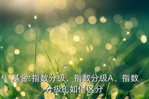  基金:指數(shù)分級、指數(shù)分級A、指數(shù)分級B,如何區(qū)分