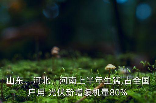 山東、河北、河南上半年生猛,占全國(guó)戶(hù)用 光伏新增裝機(jī)量80%