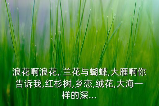 蘭花集團沈曉峰