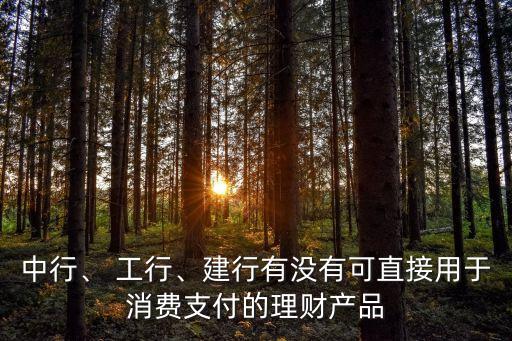 中行、 工行、建行有沒有可直接用于消費支付的理財產(chǎn)品