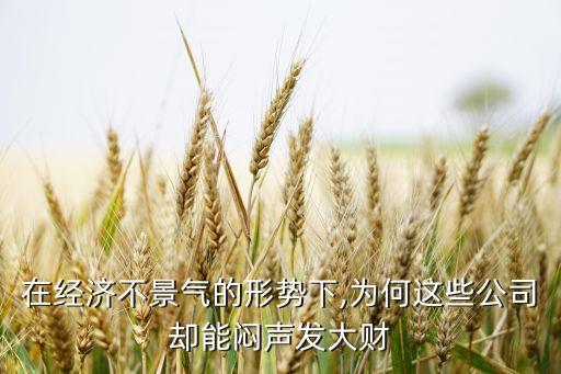 在經(jīng)濟(jì)不景氣的形勢下,為何這些公司卻能悶聲發(fā)大財(cái)