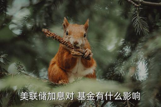 美國(guó)基金收益,美國(guó) 貨幣基金 收益